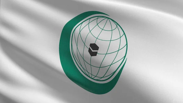 Флаг Оис Организации Исламского Сотрудничества Дующий Ветер Изолирован Официальный Религиозный — стоковое фото