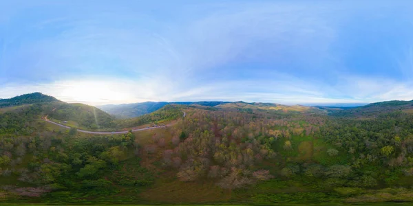 360 Панорама 180 Градусов Бесшовная Панорама Воздушного Вида Сакуры Вишневые — стоковое фото