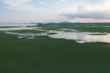 Tayland 'da Phang Nga Körfezi' ndeki bataklık ya da lagünün havadan görünüşü, göl, deniz ya da nehir ulusal park ve dağ veya tepe. Doğal manzara arka planı.