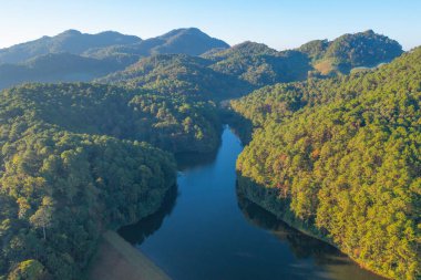 Seyahat ve çevre konsepti içinde göl veya nehir olan orman ağaçlarının havadan görünüşü. Tayland 'da doğa manzarası.