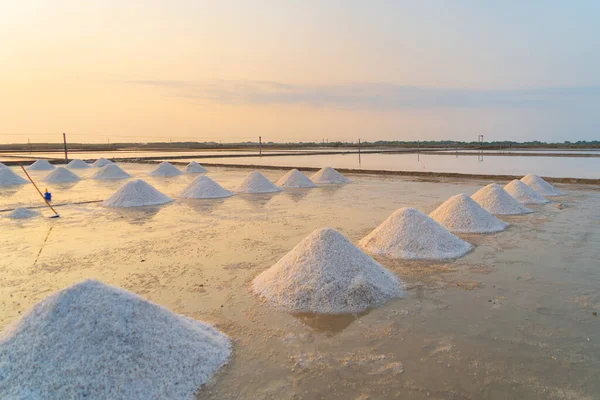 Heaps of raw sea salt piles with sea. Farm field outdoor. Nature material in salt traditional industry in Thailand. Asia culture. Agriculture.