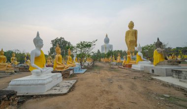 Buda heykelleri sırası var. Wat Phai Rong Wua tapınağındaki eski bir tapınağın kalıntıları, Song Phi Nong, Suphan Buri. Ünlü turistik mekan. Tayland Tarihi Mimarisi.