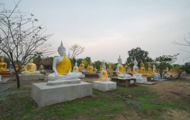 Buda heykelleri sırası var. Wat Phai Rong Wua tapınağındaki eski bir tapınağın kalıntıları, Song Phi Nong, Suphan Buri. Ünlü turistik mekan. Tayland Tarihi Mimarisi.
