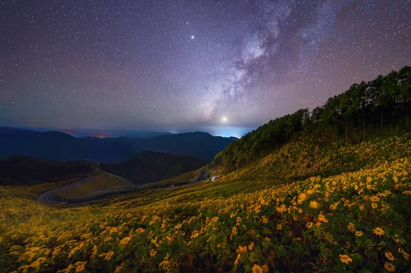 ツリーマリーゴールドまたはタイのメーホンソンの夜に国立公園や山の丘で乳白色の方法で星と黄色の花 旅行旅行中の自然景観 Thung Bua Tong 土井前U Kho — ストック写真