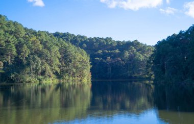 Pang Ung rezervuarında orman ağaçları olan nehir gölü, Mae Hong Son, Tayland. Yeşil çam, dağlar ve sudan yansıyan yansımalarla çevrili turistik bir yer..