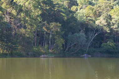 Pang Ung rezervuarında orman ağaçları olan nehir gölü, Mae Hong Son, Tayland. Yeşil çam, dağlar ve sudan yansıyan yansımalarla çevrili turistik bir yer..