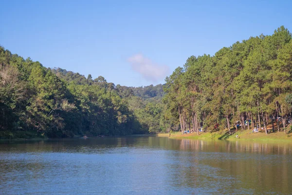 Řeka Jezero Lesními Stromy Pang Ung Rezervoár Mae Hong Son — Stock fotografie