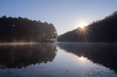 Nehir gölünde sis veya sis Pang Ung rezervuarında orman ağaçları, Mae Hong Son, Tayland. Yeşil çam, dağlar ve sudan yansıyan yansımalarla çevrili turistik bir yer..