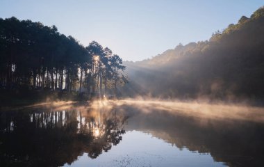 Nehir gölünde sis veya sis Pang Ung rezervuarında orman ağaçları, Mae Hong Son, Tayland. Yeşil çam, dağlar ve sudan yansıyan yansımalarla çevrili turistik bir yer..