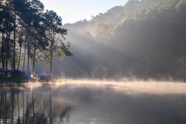 Nevoeiro Névoa Lago Rio Com Árvores Florestais Reservatório Pang Ung — Fotografia de Stock