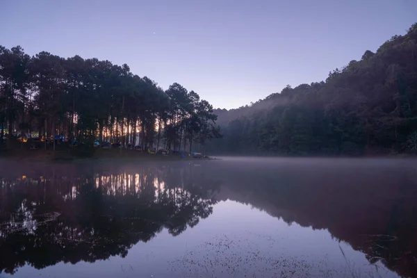 Mlha Nebo Mlha Říčním Jezeře Lesními Stromy Nádrži Pang Ung — Stock fotografie