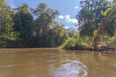 Gölde ya da nehir kıyısında rafting yapmak, parkta tekne kanalında kürek çekmek. Mae Sot, Tak, Tayland 'daki orman ağaçlarını gezmek. Doğa manzarası. Turist macera aktivitesi. Tatilde seyahat.