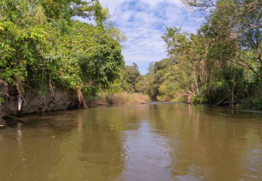 Gölde ya da nehir kıyısında rafting yapmak, parkta tekne kanalında kürek çekmek. Mae Sot, Tak, Tayland 'daki orman ağaçlarını gezmek. Doğa manzarası. Turist macera aktivitesi. Tatilde seyahat.