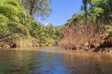 Gölde ya da nehir kıyısında rafting yapmak, parkta tekne kanalında kürek çekmek. Mae Sot, Tak, Tayland 'daki orman ağaçlarını gezmek. Doğa manzarası. Turist macera aktivitesi. Tatilde seyahat.