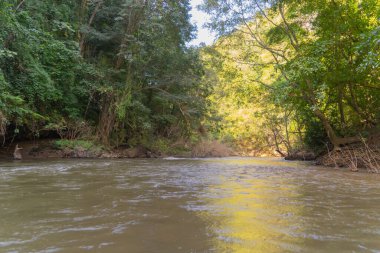 Gölde ya da nehir kıyısında rafting yapmak, parkta tekne kanalında kürek çekmek. Mae Sot, Tak, Tayland 'daki orman ağaçlarını gezmek. Doğa manzarası. Turist macera aktivitesi. Tatilde seyahat.
