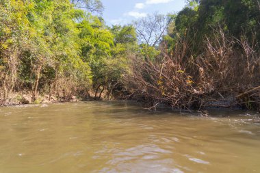 Gölde ya da nehir kıyısında rafting yapmak, parkta tekne kanalında kürek çekmek. Mae Sot, Tak, Tayland 'daki orman ağaçlarını gezmek. Doğa manzarası. Turist macera aktivitesi. Tatilde seyahat.