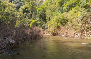 Gölde ya da nehir kıyısında rafting yapmak, parkta tekne kanalında kürek çekmek. Mae Sot, Tak, Tayland 'daki orman ağaçlarını gezmek. Doğa manzarası. Turist macera aktivitesi. Tatilde seyahat.