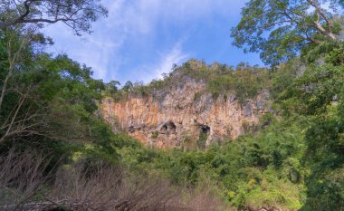 Yaz mevsiminde Tak, Tayland 'da, tropikal ormanlardaki yeşil ağaçlar ulusal parktaki uçurumlar ve dağ tepeleri. Doğal manzara arka planı.
