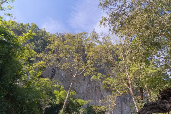 Árvores Verdes Exuberantes Floresta Tropical Penhasco Parque Nacional Montanha Temporada — Fotografia de Stock
