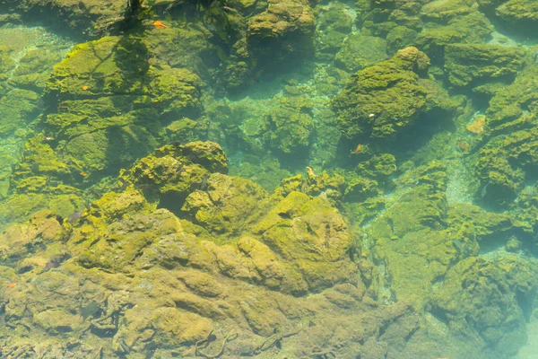 Marine Reservaat Kanaal Smaragd Kristalhelder Meer Water Oppervlak National Park — Stockfoto
