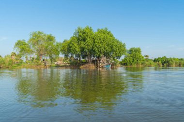 Thale Noi 'deki ağaçlar, Botanik Bahçesi, Old Paper Bark Ormanı, gölü, okyanusu veya nehri olan tropikal ormanlar ve Tayland' ın Phatthalung kentindeki ulusal parktaki yansımalar. Doğal manzara arka planı.