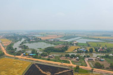 Taze çeltik pirincinin havadan görünüşü, Asya 'nın kırsal ya da kırsal kesimindeki yeşil tarım alanı. Doğa manzarası arka planı.