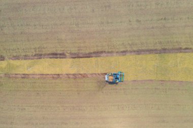 Kuru ya da olgun pirinç tarlalarında çalışan traktör pirinç arabasının havadan görünüşü, tarım üreticisi üretim hasadı. Doğa çevresi. Tayland 'da tarım endüstrisi.