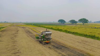 Kuru ya da olgun pirinç tarlalarında çalışan traktör pirinç arabasının havadan görünüşü, tarım üreticisi üretim hasadı. Doğa çevresi. Tayland 'da tarım endüstrisi.