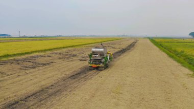 Kuru ya da olgun pirinç tarlalarında çalışan traktör pirinç arabasının havadan görünüşü, tarım üreticisi üretim hasadı. Doğa çevresi. Tayland 'da tarım endüstrisi.