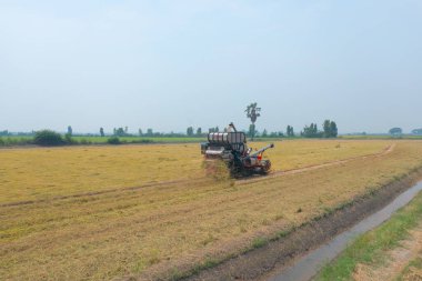 Kuru ya da olgun pirinç tarlalarında çalışan traktör pirinç arabasının havadan görünüşü, tarım üreticisi üretim hasadı. Doğa çevresi. Tayland 'da tarım endüstrisi.