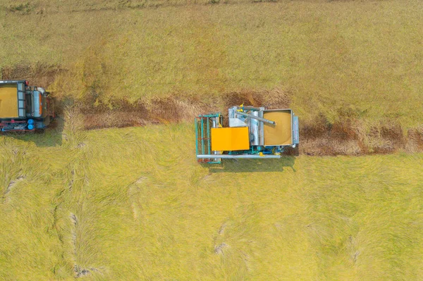 Letecký Pohled Shora Traktor Rýžový Vůz Pracující Suché Nebo Zralé — Stock fotografie