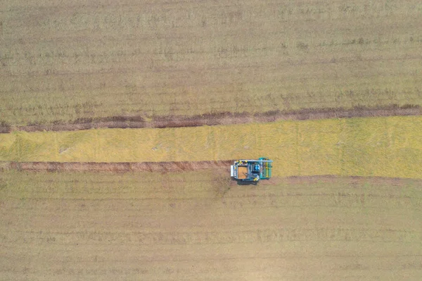 Vista Superior Aérea Del Coche Arroz Tractor Que Trabaja Arroz — Foto de Stock