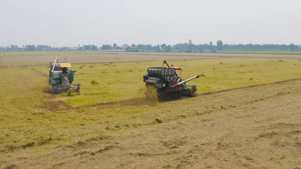Kuru ya da olgun pirinç tarlalarında çalışan traktör pirinç arabasının havadan görünüşü, tarım üreticisi üretim hasadı. Doğa çevresi. Tayland 'da tarım endüstrisi.