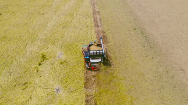 Letecký Pohled Shora Traktor Rýžový Vůz Pracující Suché Nebo Zralé — Stock fotografie