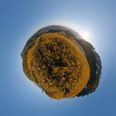 Küçük gezegen 360 derece küre. Ulusal bahçe parkındaki ağaç kadife çiçeklerinin ve Tayland 'ın Mae Hong Son kentindeki dağ tepelerinin hava manzarası. Doğa manzarası. Thung Bua Tong.
