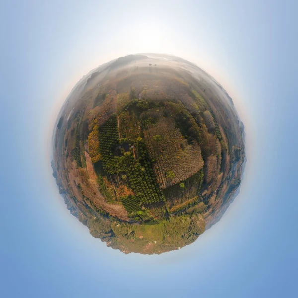 Pequeno Planeta 360 Graus Esfera Panorama Vista Aérea Superior Árvores — Fotografia de Stock