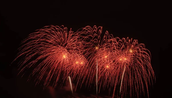 Fogos Artifício Internacionais Noite Variedade Fogos Artifício Coloridos Feriados Celebração — Fotografia de Stock