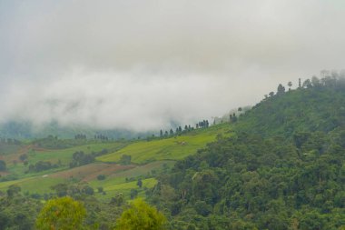 Gün batımında sisli orman ağaçlarının ve yeşil dağ tepelerinin havadan görünüşü. Doğa manzarası arka planı, Tayland.