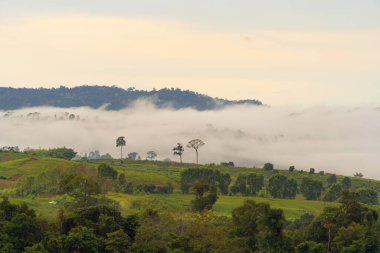 Gün batımında sisli orman ağaçlarının ve yeşil dağ tepelerinin havadan görünüşü. Doğa manzarası arka planı, Tayland.
