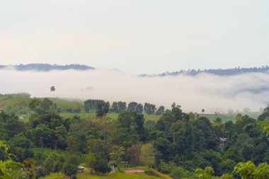 Gün batımında sisli orman ağaçlarının ve yeşil dağ tepelerinin havadan görünüşü. Doğa manzarası arka planı, Tayland.
