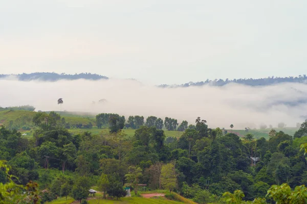 Gün batımında sisli orman ağaçlarının ve yeşil dağ tepelerinin havadan görünüşü. Doğa manzarası arka planı, Tayland.