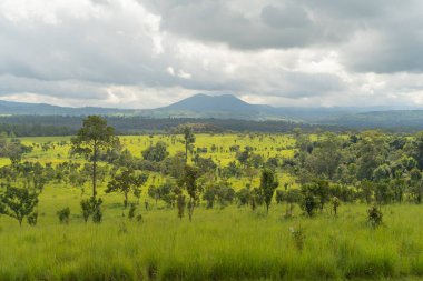 Thung Salaeng Luang Ulusal Parkı yeşil alan dağları. Vahşi Yaşam Sığınağı, Khao Kho Bölgesi Phetchabun, Tayland. Vahşi yaşam çeşitliliği, gün batımında ağaçlar ve bitkiler.