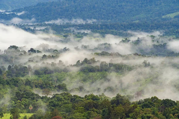 Gün batımında sisli orman ağaçlarının ve yeşil dağ tepelerinin havadan görünüşü. Doğa manzarası arka planı, Tayland.