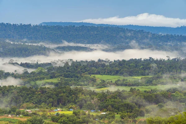 Gün batımında sisli orman ağaçlarının ve yeşil dağ tepelerinin havadan görünüşü. Doğa manzarası arka planı, Tayland.