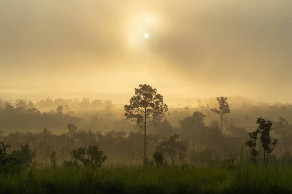 Thung Salaeng Luang Национальный Парк Горы Зеленого Поля Заповедник Дикой — стоковое фото