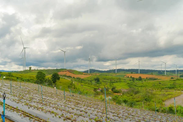 泰国Phetchabun的风力涡轮机或风力发电场 配有洒水装置和山地小丘 可持续能源和环境概念 — 图库照片
