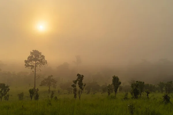 Thung Salaeng Luang Národní Park Zelené Louky Hory Divoká Příroda — Stock fotografie