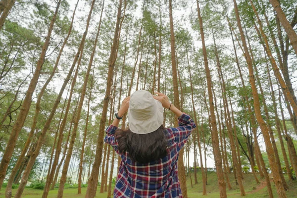 一位背包客亚洲女游客在国家公园的森林里旅行和散步 自然景观 人们的生活方式冒险 放轻松 — 图库照片