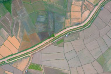 Su yansıtmalı çeltik pirinç terasları, kırsal alanlarda yeşil tarım alanları, dağ tepeleri vadisi, Pabongpieng, Chiang Mai, Tayland. Doğa manzarası. Ekin hasatı.