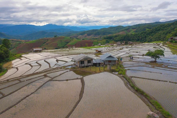 Aerial top view of paddy rice terraces with water reflection, green agricultural fields in countryside, mountain hills valley, Pabongpieng, Chiang Mai, Thailand. Nature landscape. Crops harvest.